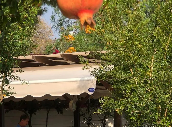 Losta Sahil Evi - Adults Only +12 * Selimiye (Aegean)