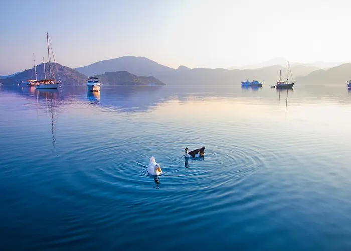 Losta Sahil Evi - Adults Only +12