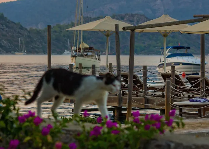 Losta Sahil Evi - Adults Only +12 Penzion *