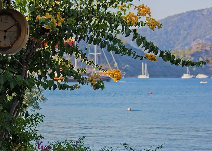 Losta Sahil Evi - Adults Only +12