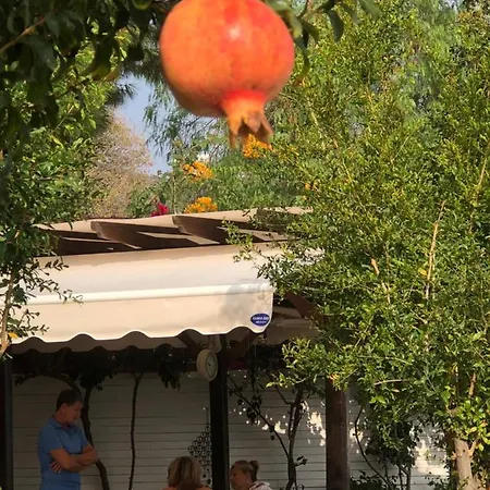 Losta Sahil Evi - Adults Only +12 * Selimiye (Aegean)