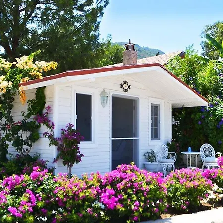 Guest house Losta Sahil Evi - Adults Only +12 *