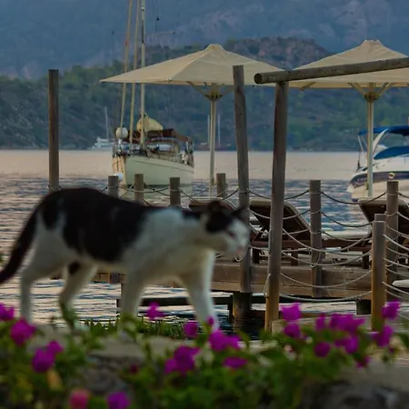 Losta Sahil Evi - Adults Only +12 Guest house *