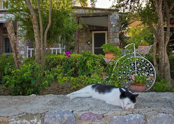 Losta Sahil Evi - Adults Only +12 Guest house