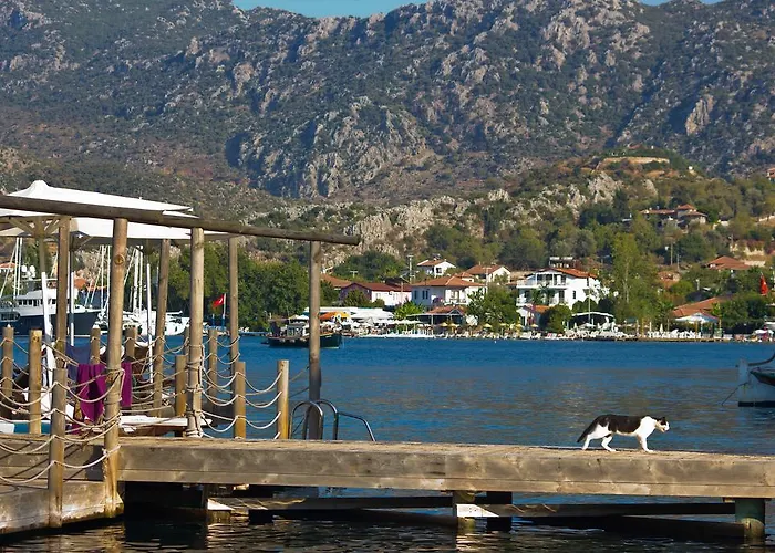 Guest house Losta Sahil Evi - Adults Only +12 *